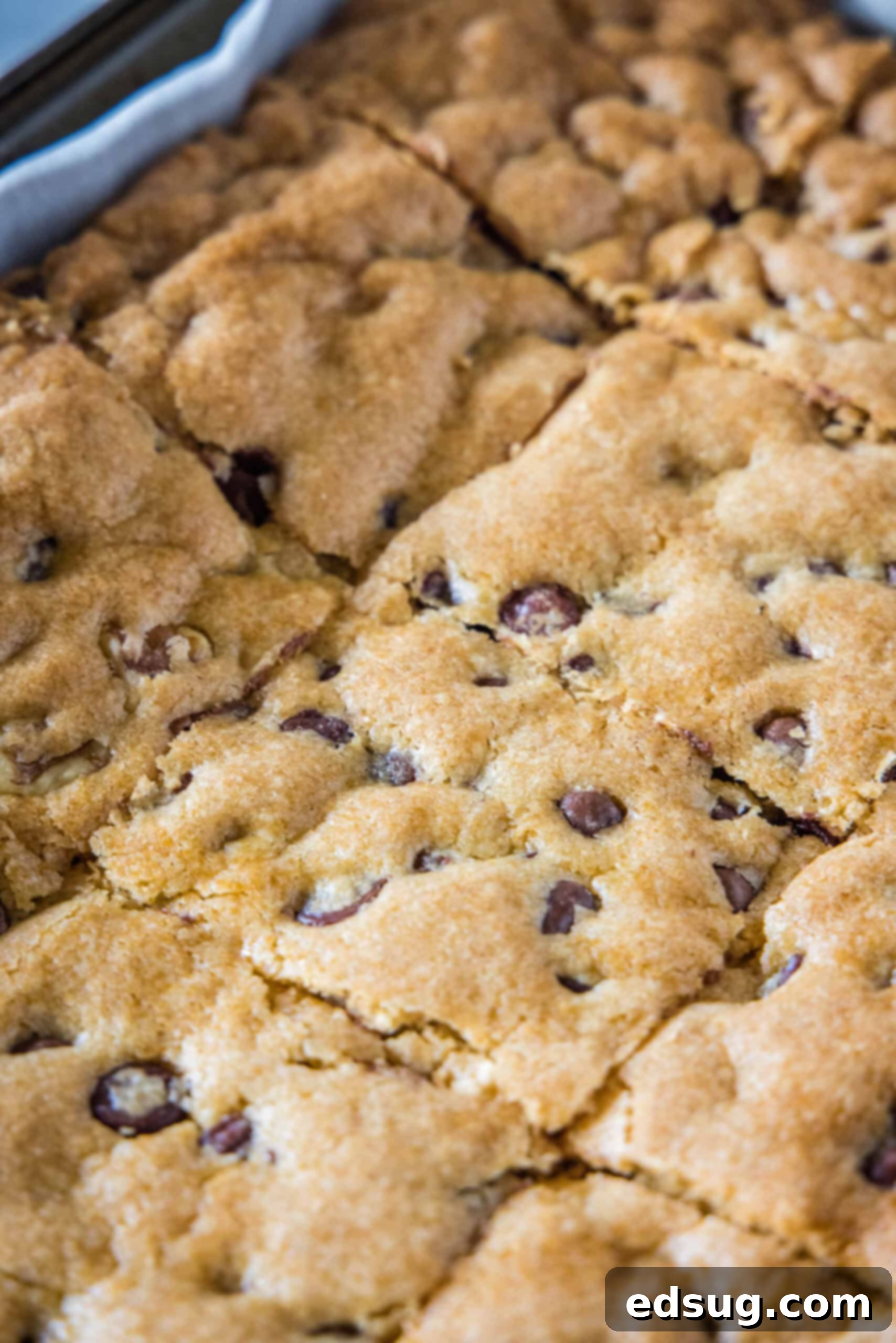 Congo bars are thick and gooey cookie bars loaded with two types of chocolate and crunchy walnuts. Make them in one bowl in minutes! Close up of freshly baked Congo bars, cut into perfect squares inside a baking pan, showing their gooey interior.