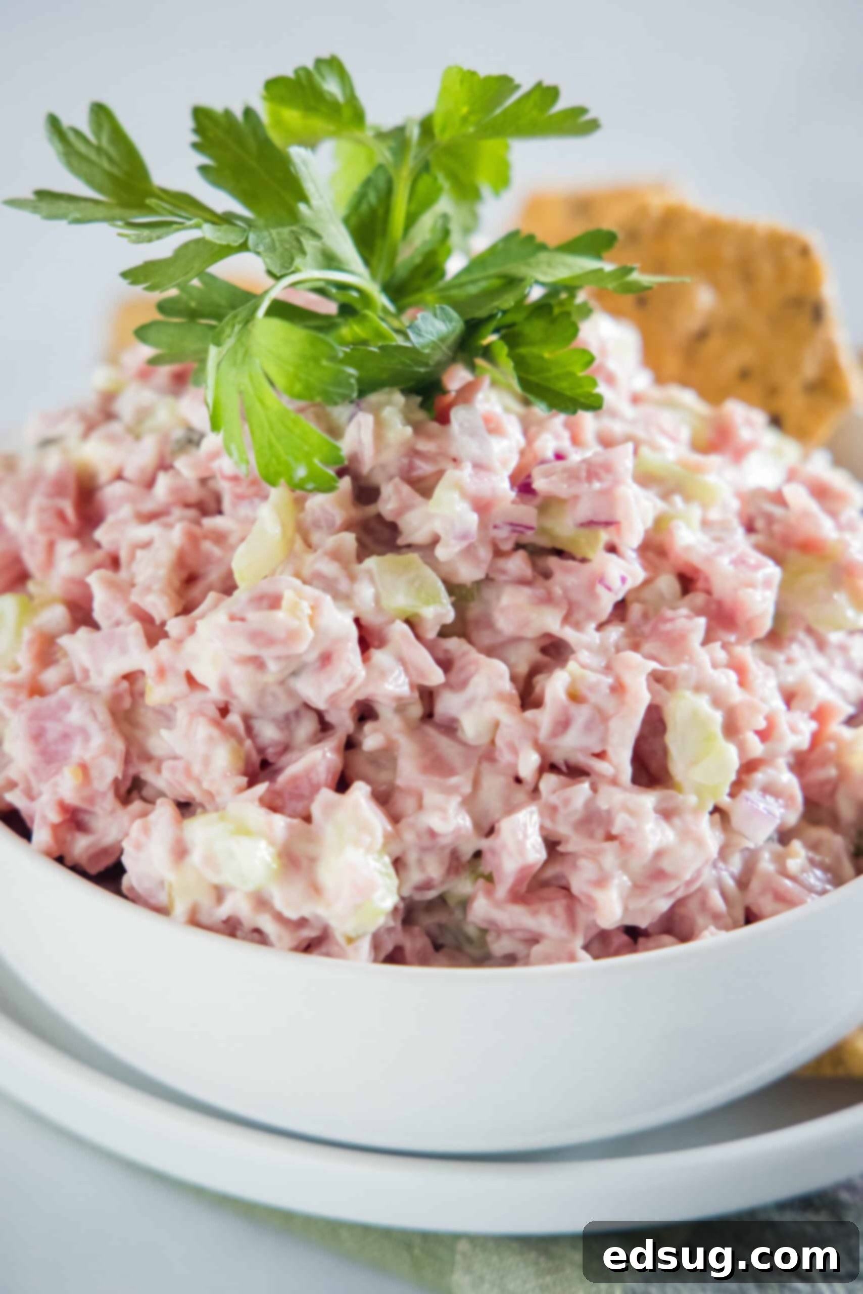 Ham salad in a white bowl garnished with a cracker and fresh parsley leaves.