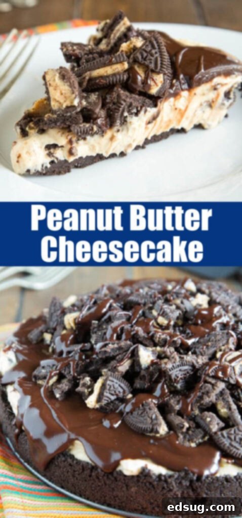 close up no bake peanut butter cheesecake showing texture of ganache and filling