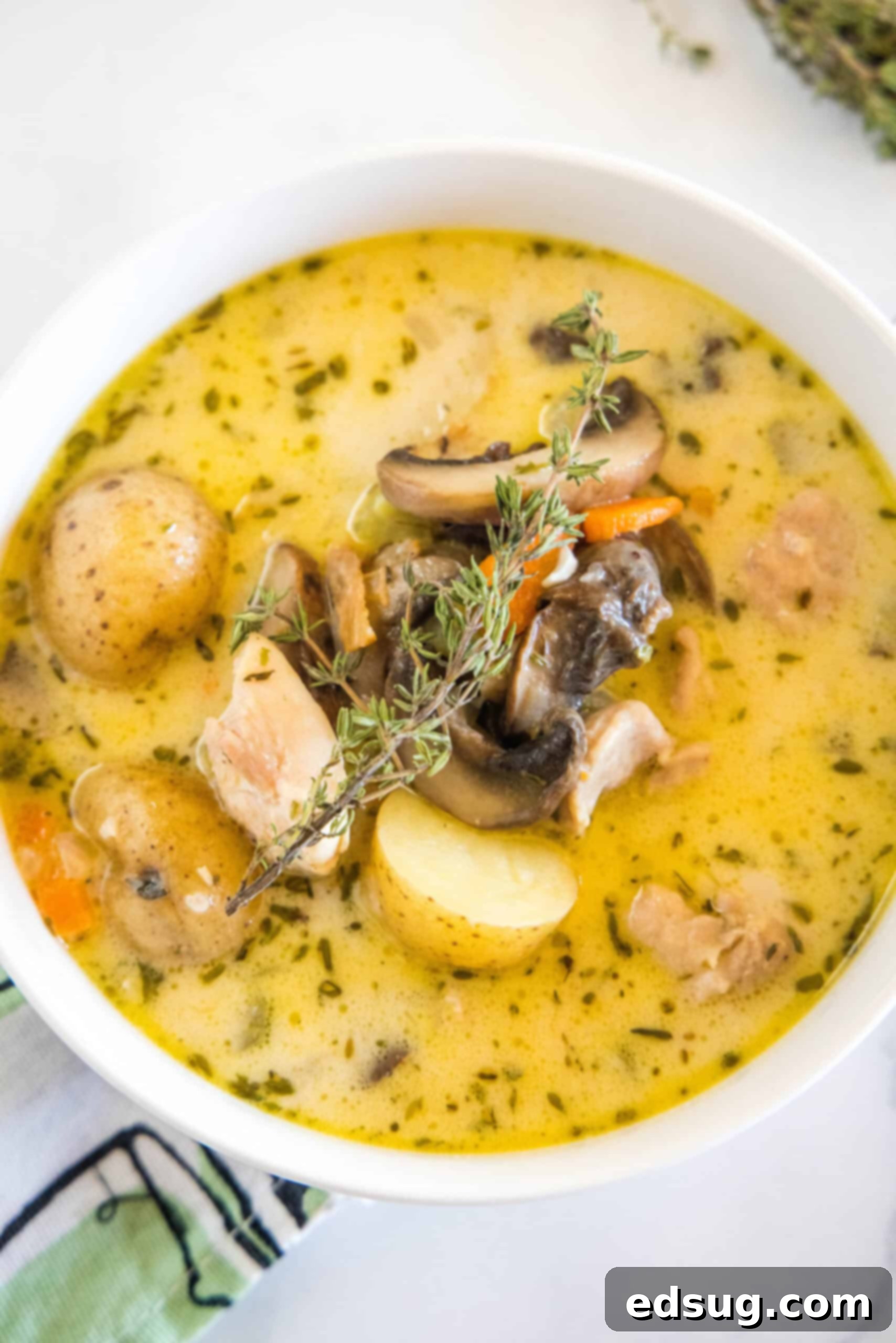 Overhead view of a hearty bowl of chicken stew, garnished and ready to eat.