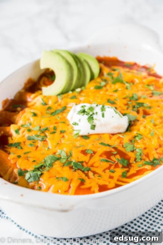 A serving of Sour Cream Chicken Enchiladas on a white plate, topped with melted cheese and fresh cilantro, alongside a scoop of refried beans.