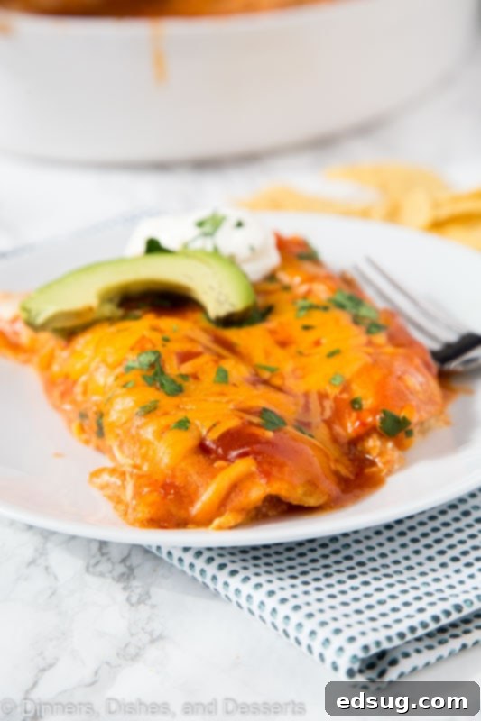 A beautifully plated serving of Sour Cream Chicken Enchiladas, garnished with cilantro, next to a bowl of fresh salsa, ready for a delicious meal.