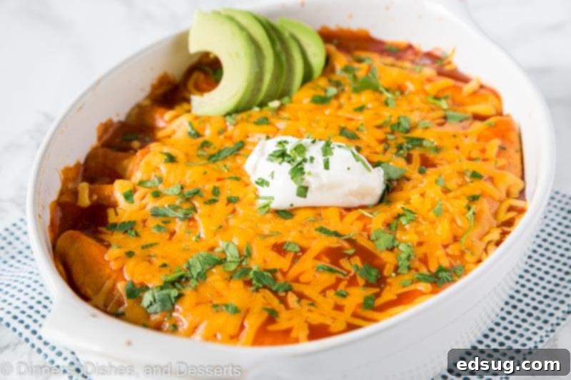 A large baking dish filled with golden-brown Sour Cream Chicken Enchiladas, topped with melted cheese, fresh cilantro, and a dollop of sour cream, ready to be served.