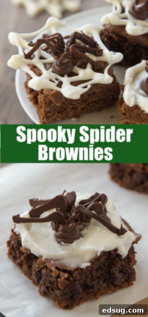 Close-up of a perfectly decorated brownie with a chocolate spider and web, highlighting the detail and deliciousness.
