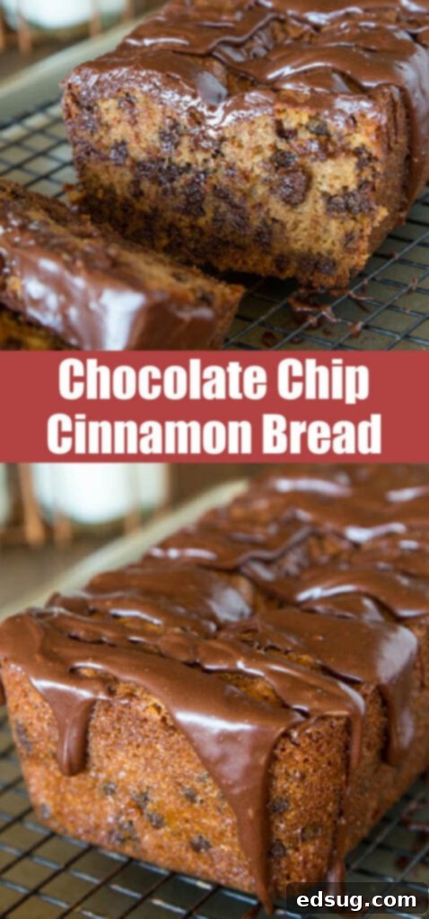 chocolate chip cinnamon quick bread loaf with chocolate glaze