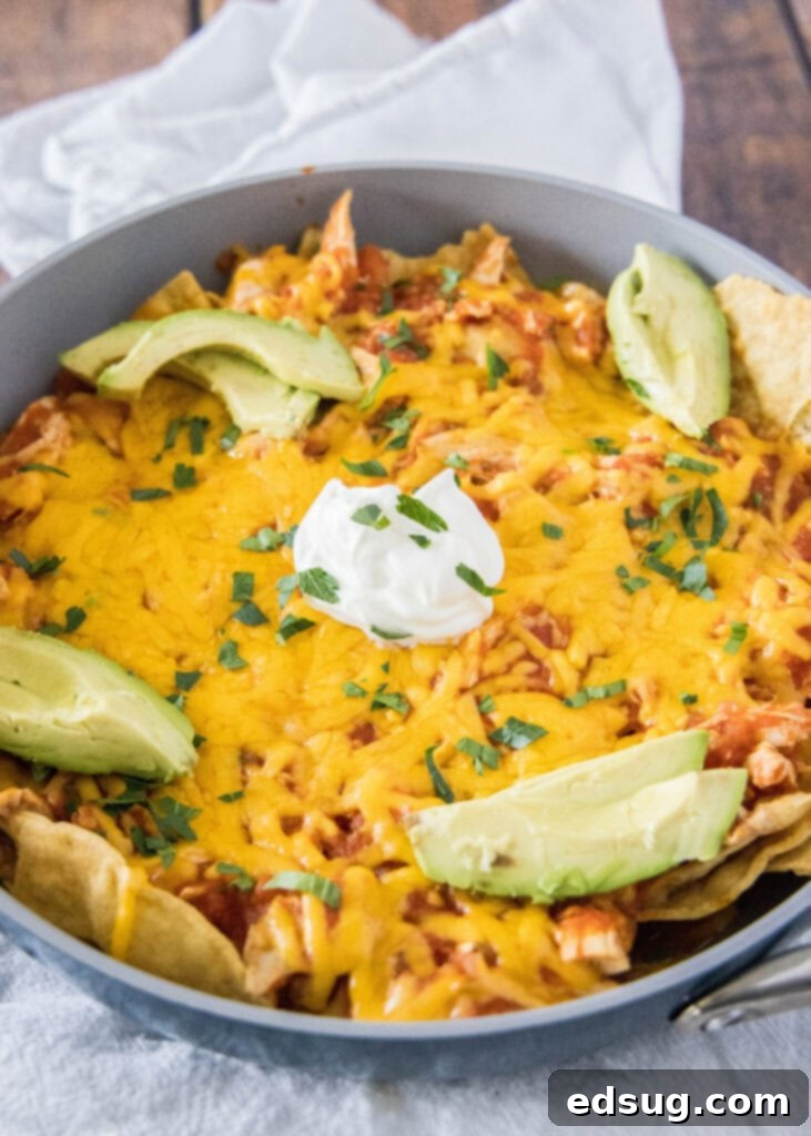 Baked Chicken Chilaquiles served in a rustic cast iron skillet, garnished with fresh cilantro and avocado slices.