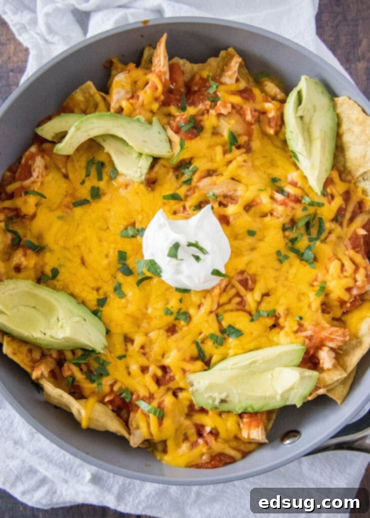 Overhead shot of a skillet filled with baked Chicken Chilaquiles, showing the rich sauce, chicken, and melted cheese.
