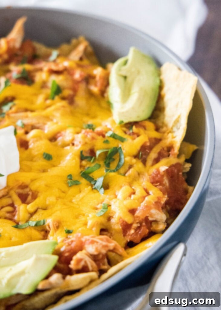 Close-up shot of individual servings of Chicken Chilaquiles, showing the layers of chips, chicken, and melted cheese, with avocado and cilantro garnish.