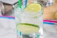 Classic Gin and Tonic
