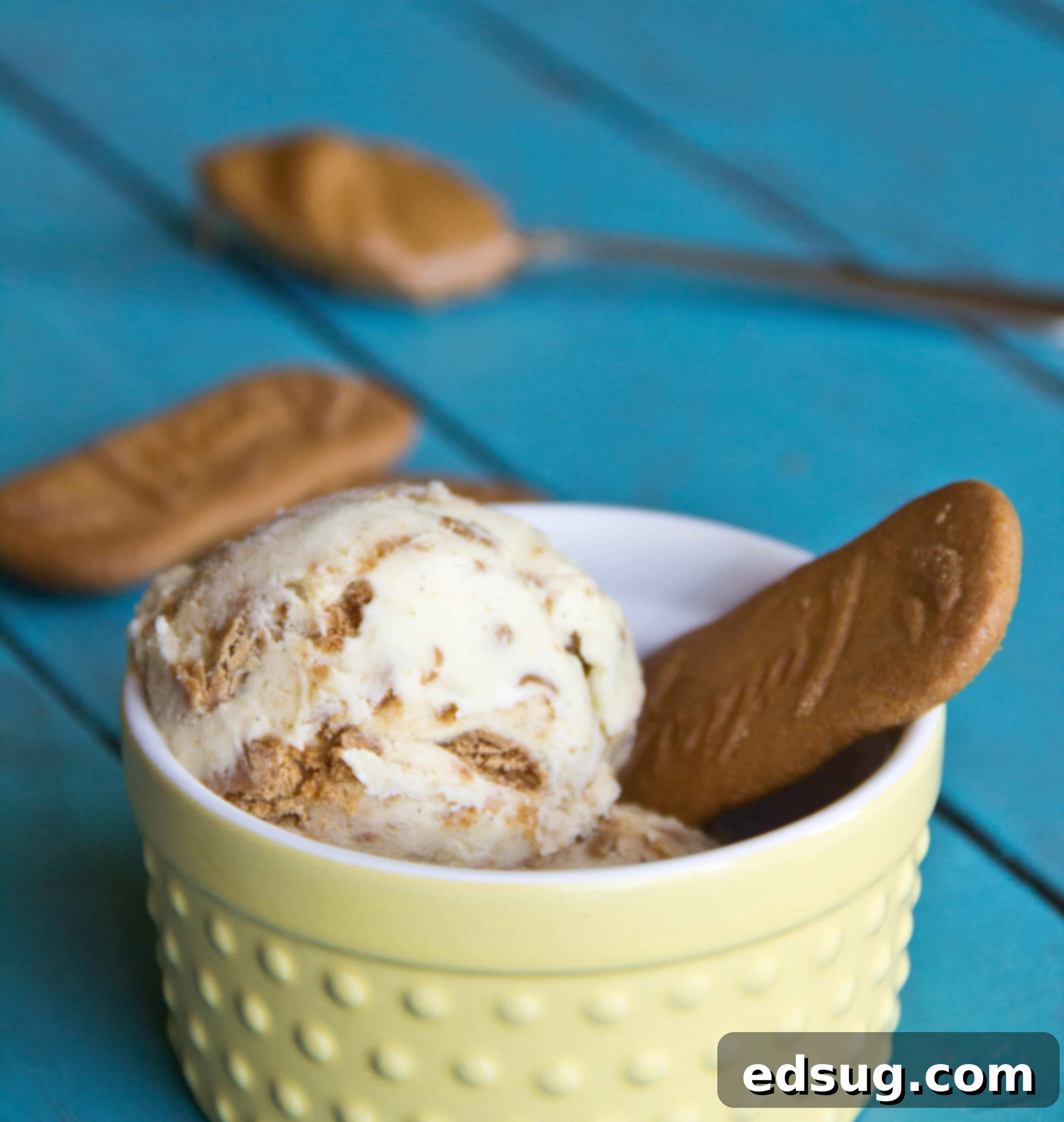 featured 5657 scaled