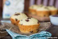 Perfect Coconut Chocolate Chip Muffins