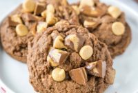 Decadent Chocolate Peanut Butter Cookies
