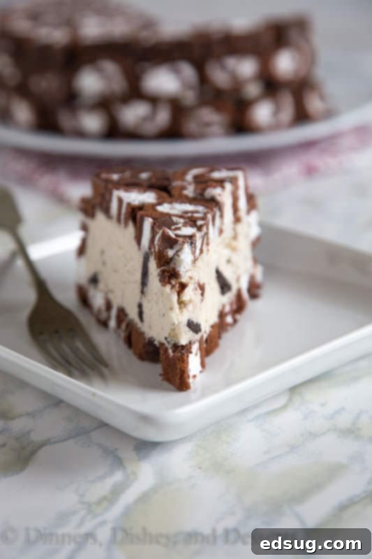 A whole Swiss Roll Ice Cream Cake ready to be served, topped with more cake roll slices