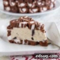 Swiss Roll Ice Cream Cake, a perfect no-bake dessert