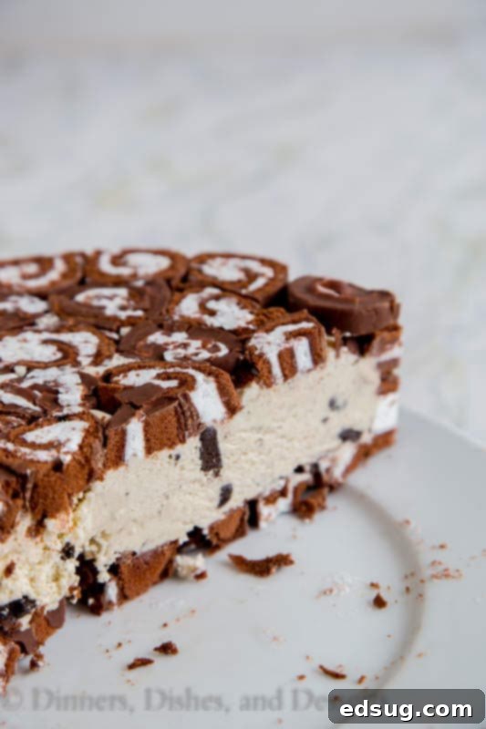 Sliced Swiss Roll Ice Cream Cake with chocolate drizzle and whipped cream