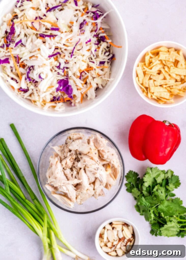 fresh ingredients for a Thai chicken salad laid out, including shredded cabbage, chicken, cilantro, and bell pepper