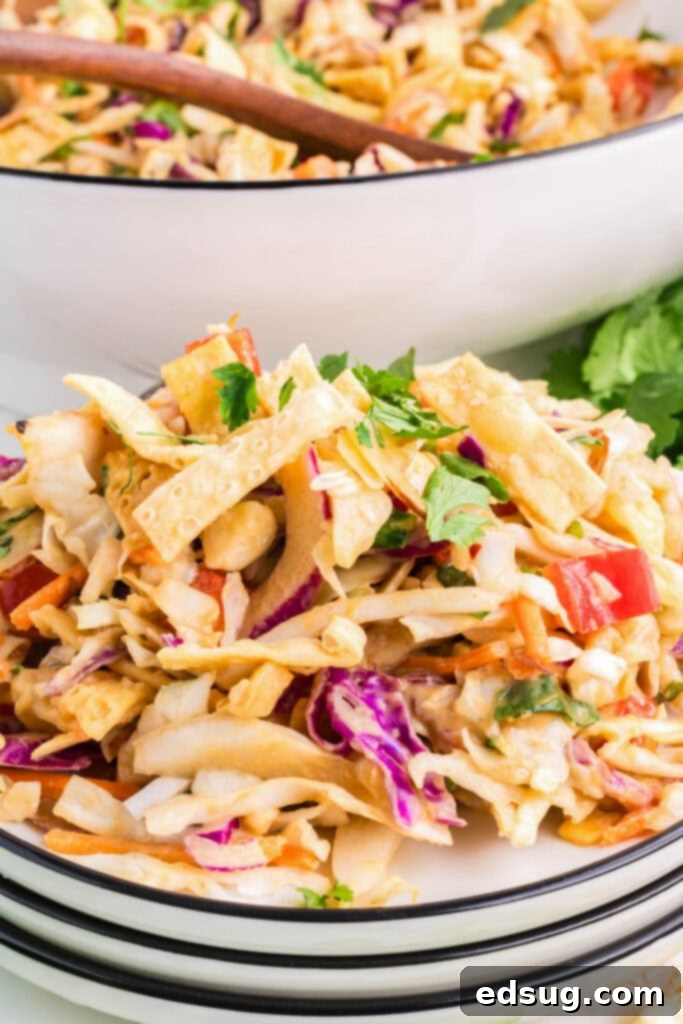 a single serving of Thai chicken salad on a white plate