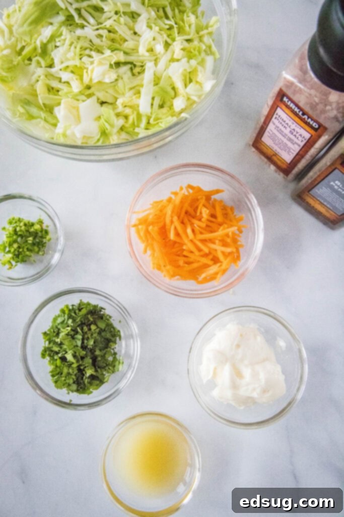 Fiesta Slaw 3 mexican coleslaw ingredients