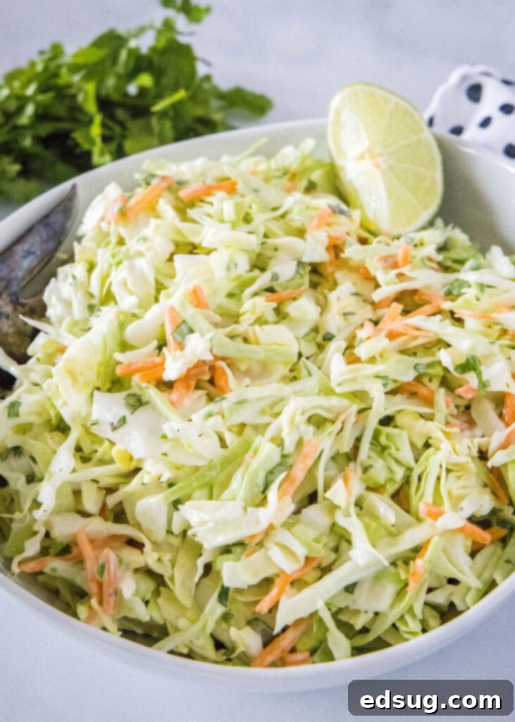 Fiesta Slaw 6 white bowl with coleslaw in a lime wedge