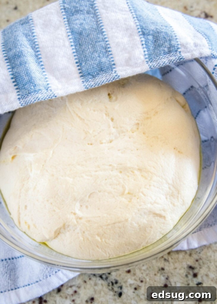 Golden Griddled Goodness 3 dough rising in a bowl