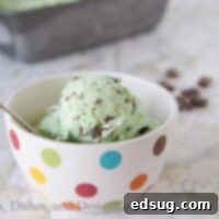 Effortless No-Churn Mint Chocolate Chip Ice Cream 2 Delicious no-churn mint chocolate chip ice cream in a white bowl.