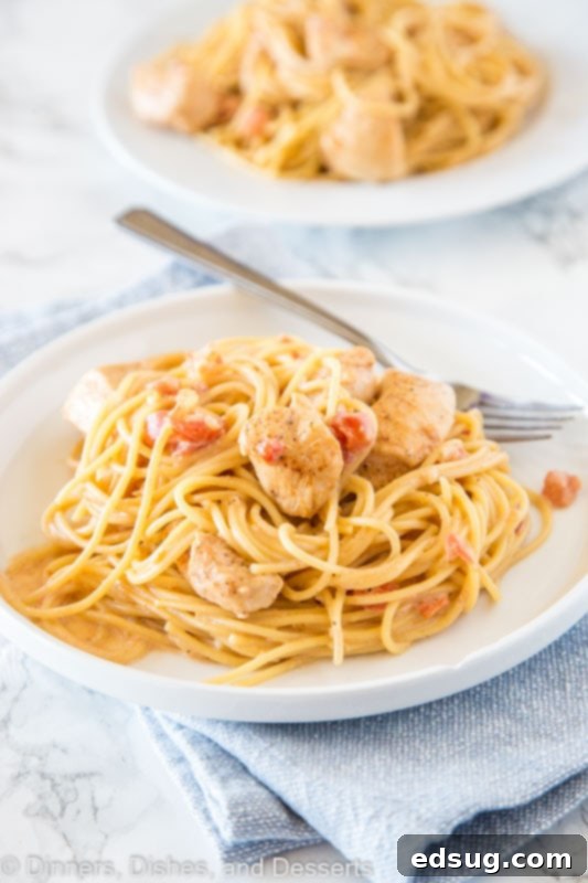 Velvet Cajun Pasta 3 A pate with pasta and chicken