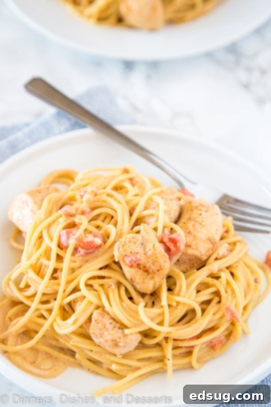 Velvet Cajun Pasta 4 A plate of pasta, with Chicken