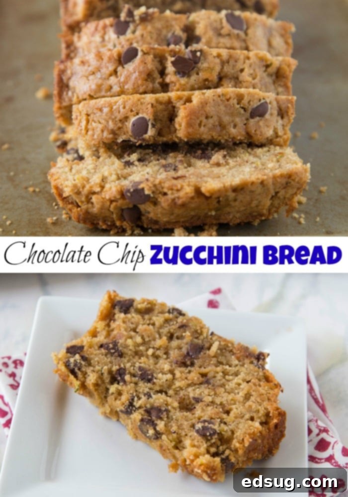 Wholesome Chocolate Chip Zucchini Bread 2 A beautifully textured slice of whole wheat zucchini bread with visible chocolate chips, ready to be enjoyed.