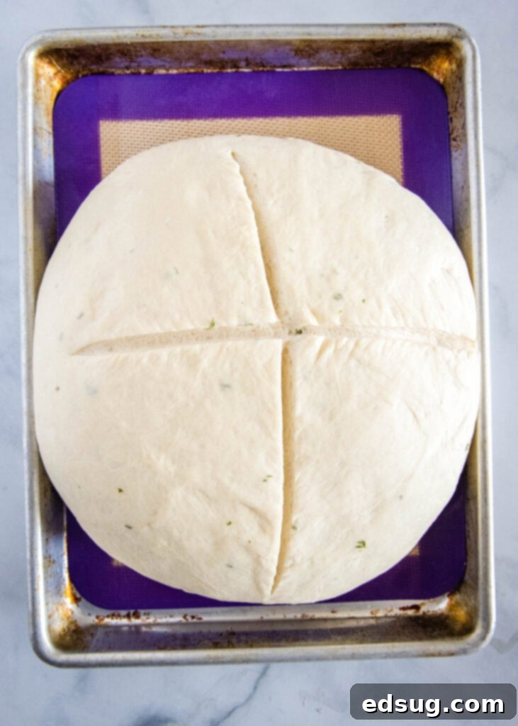 Savory Potato Chive Loaf 4 Two round loaves of potato bread, scored with an 'X' on top, ready for baking on a baking sheet.
