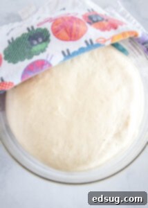 Savory Potato Chive Loaf 8 bread dough rising in a bowl