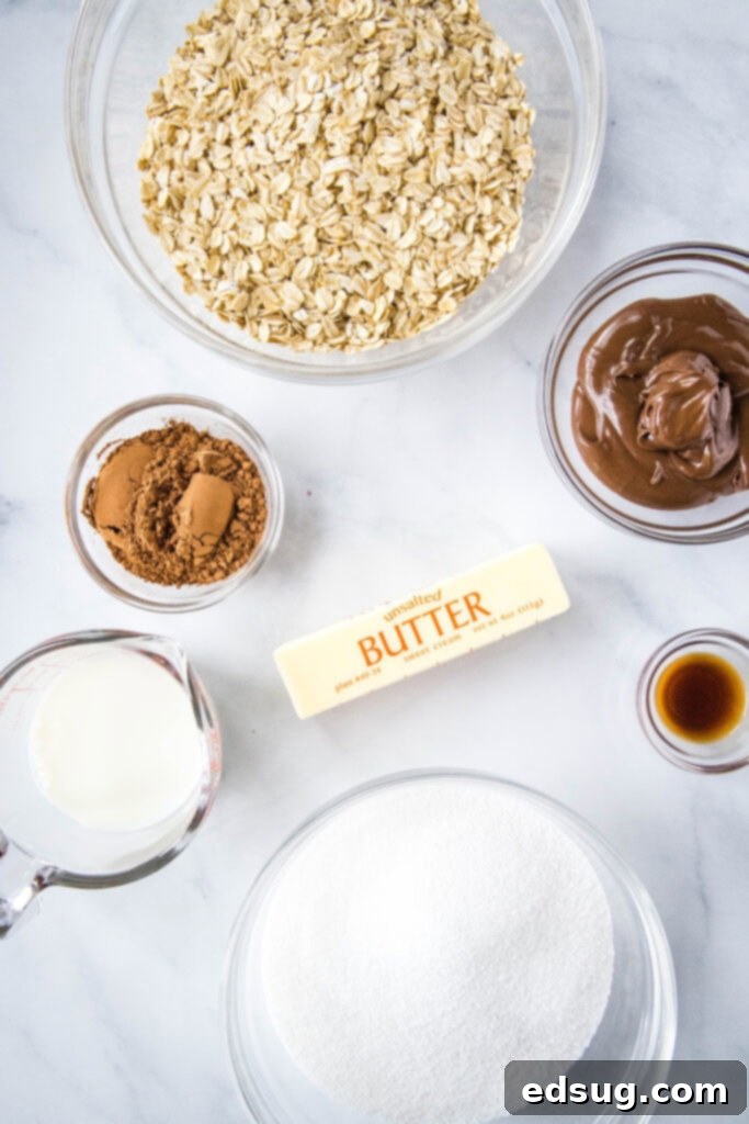 Dreamy No-Bake Nutella Bars 3 Ingredients for no-bake Nutella bars laid out on a white surface, including butter, sugar, cocoa, milk, Nutella, vanilla, and oats.