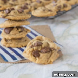 Peanut Butter Crunch Cookies