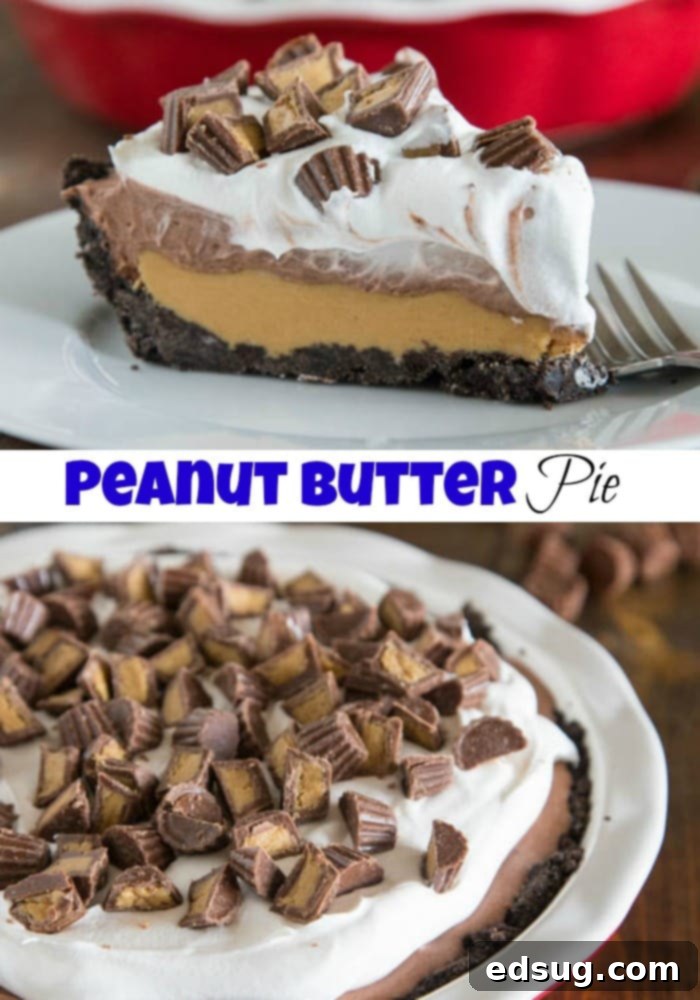 Effortless Peanut Butter Cup Indulgence 2 Full No-Bake Peanut Butter Cup Pie ready to be served