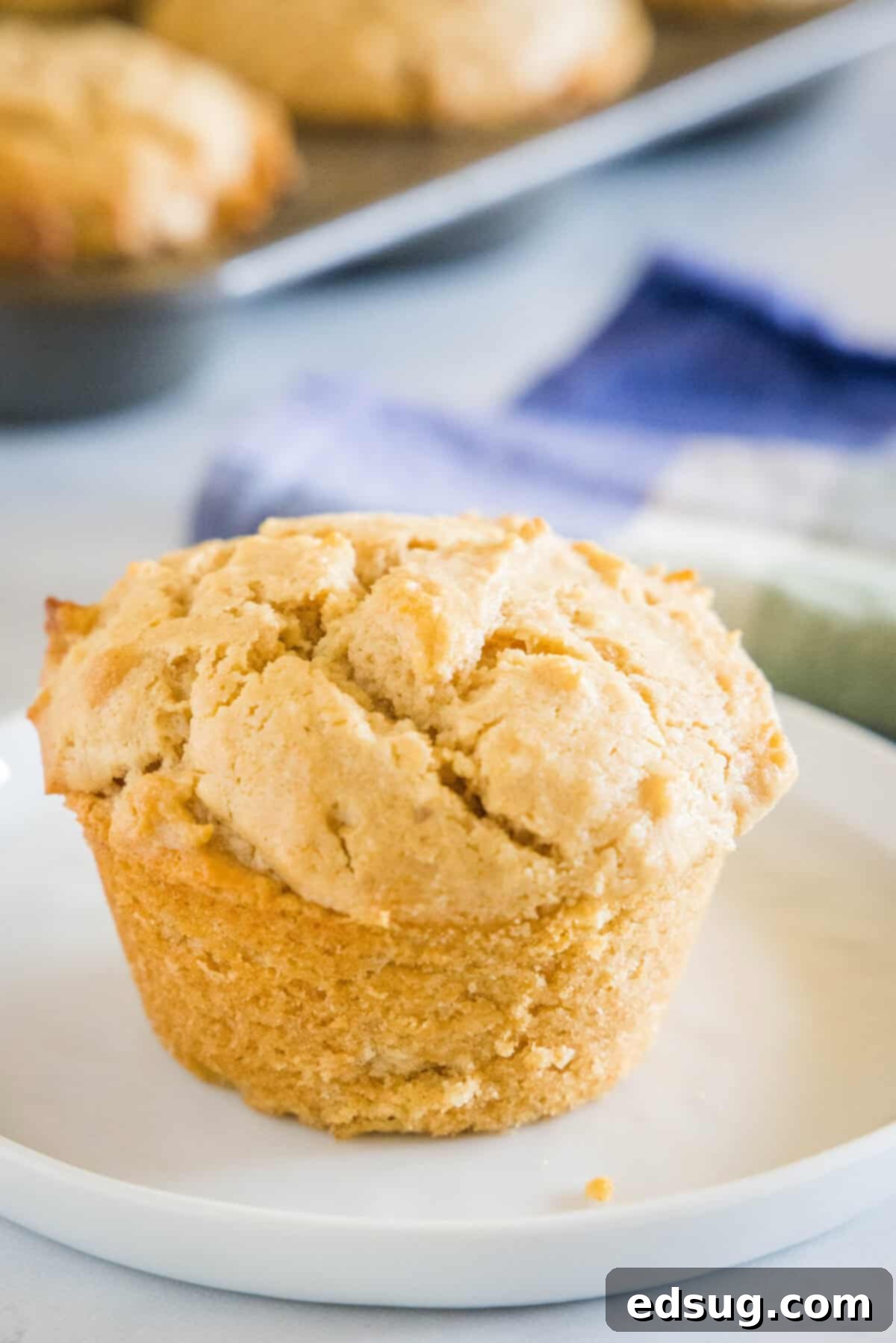 Peanut Butter and Jelly Swirl Muffins 6 A single peanut butter and jelly muffin on a plate, ready to eat