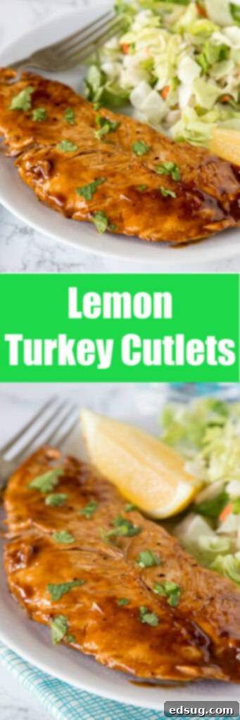 close up lemon turkey cutlets on plate with salad with forks