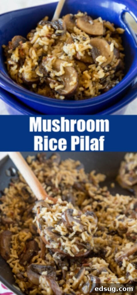 Savory Mushroom Rice Pilaf 2 close up mushroom rice pilaf for pinterest