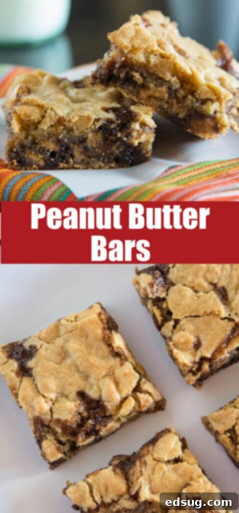 peanut butter bars with peanut butter chips and chocolate syrup