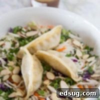 Asian Potsticker Salad 2 potstickers asian chopped salad in a bowl