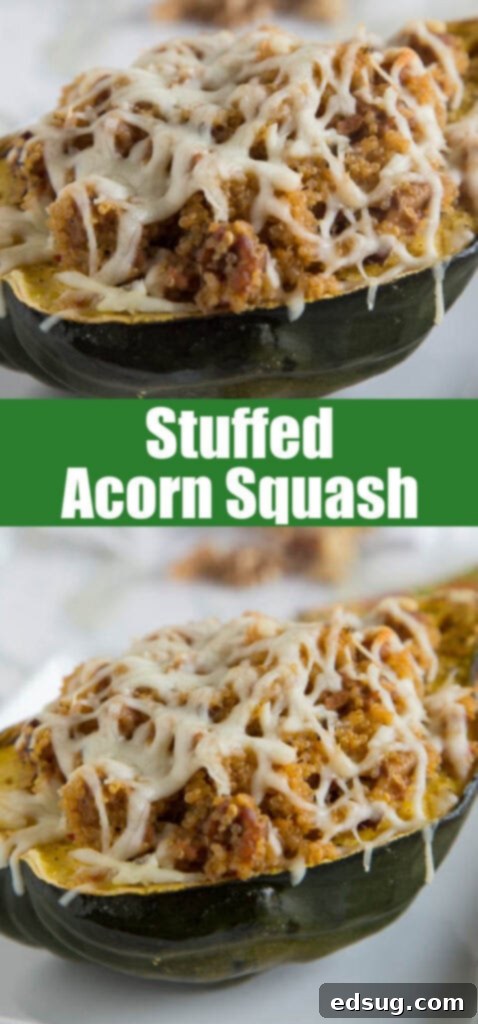 Savory Quinoa Sausage Stuffed Acorn Squash 2 Overhead shot of two beautifully plated stuffed acorn squash halves on a dark plate, garnished with fresh parsley, and a fork ready for a delicious autumn meal.