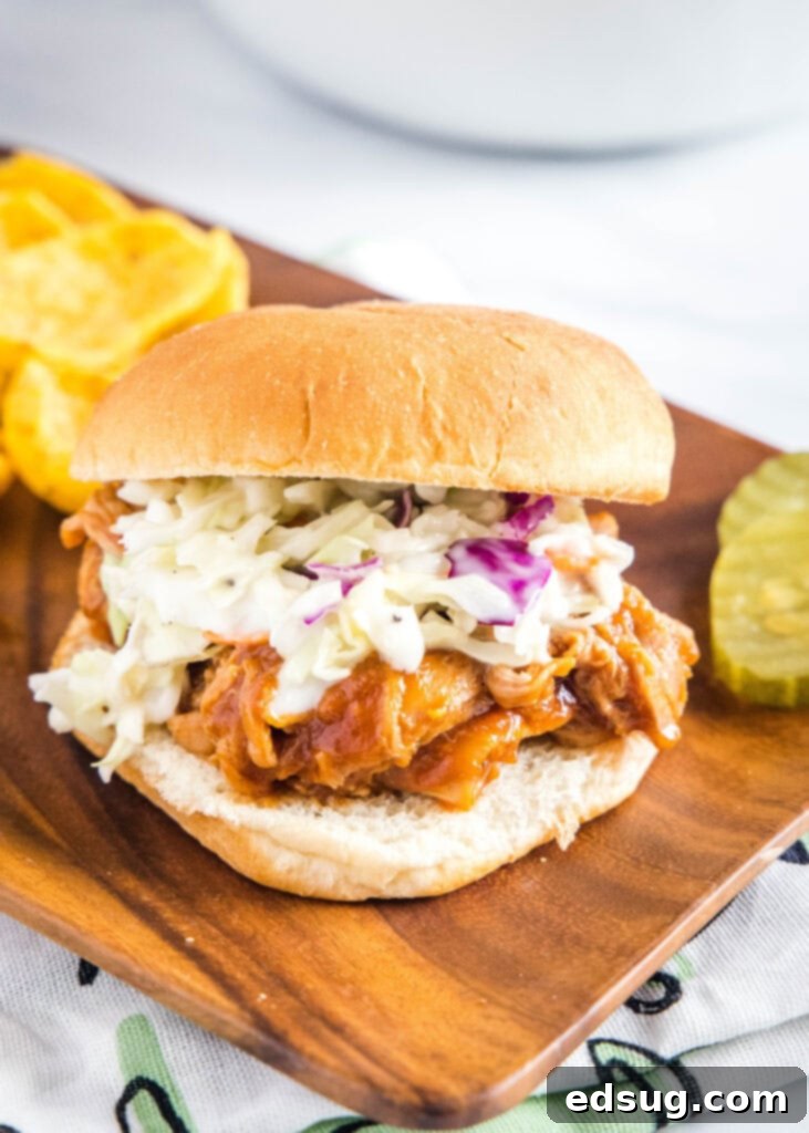 A perfectly assembled barbecue pulled pork sandwich on a bun, topped with coleslaw, served with a side of crispy potato chips on a white plate.