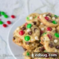 Decadent Double Chocolate M and M Cookies 2 double chocolate m&m cookies on a plate