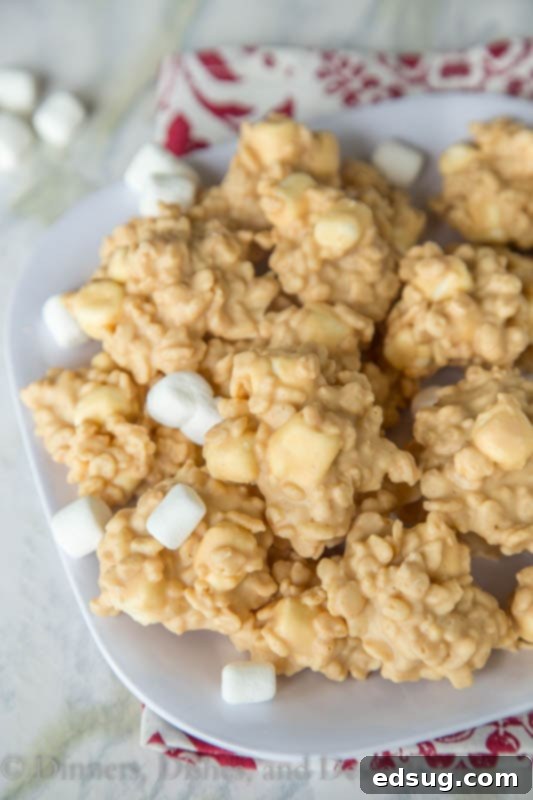 Effortless No-Bake Avalanche Treats 4 A plate full of cookies