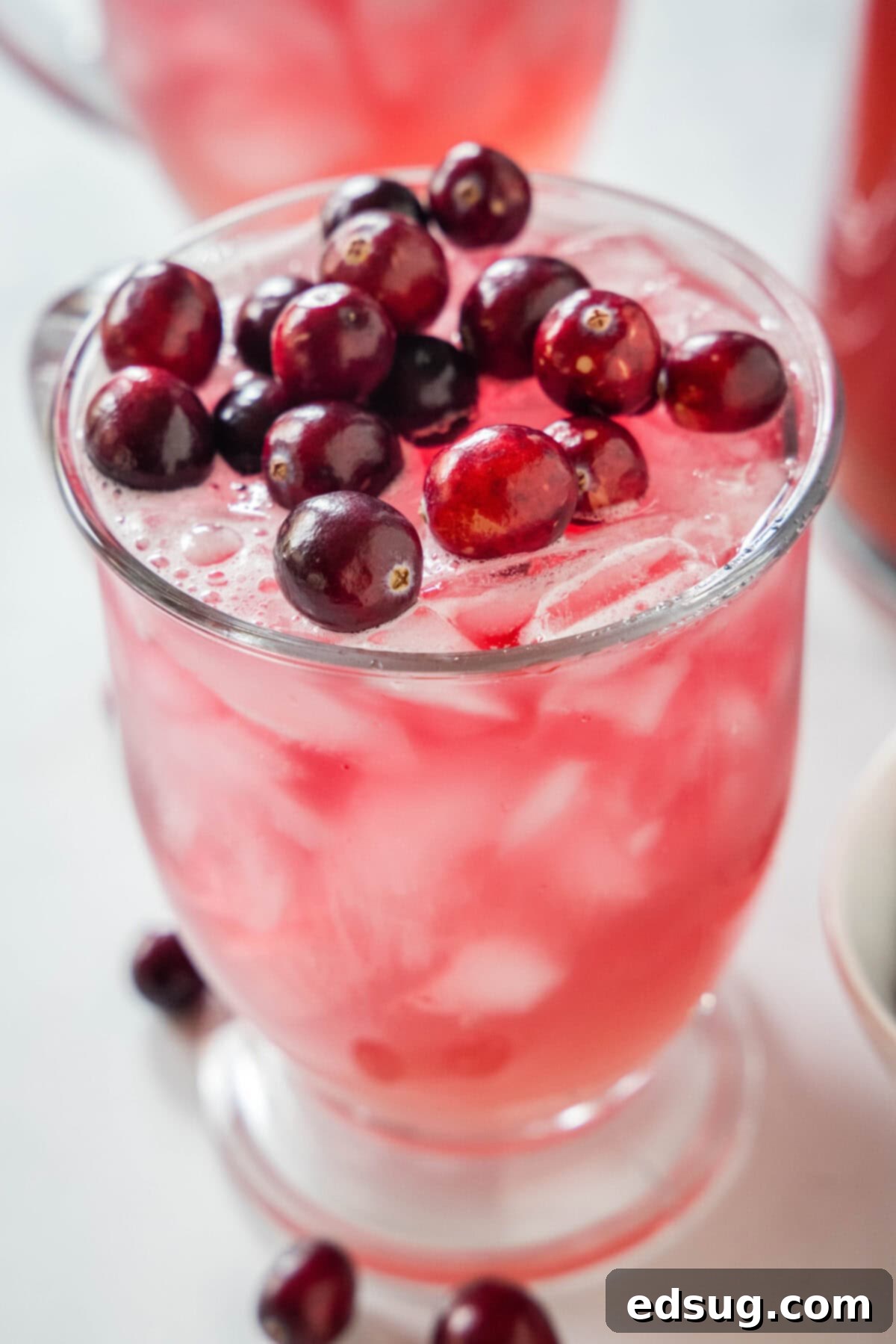 A glass of cranberry punch with fresh cranberries floating, ready to be served at a festive occasion.