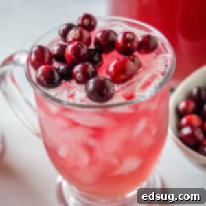 cropped close up cranberry punch in a glass with cranberries