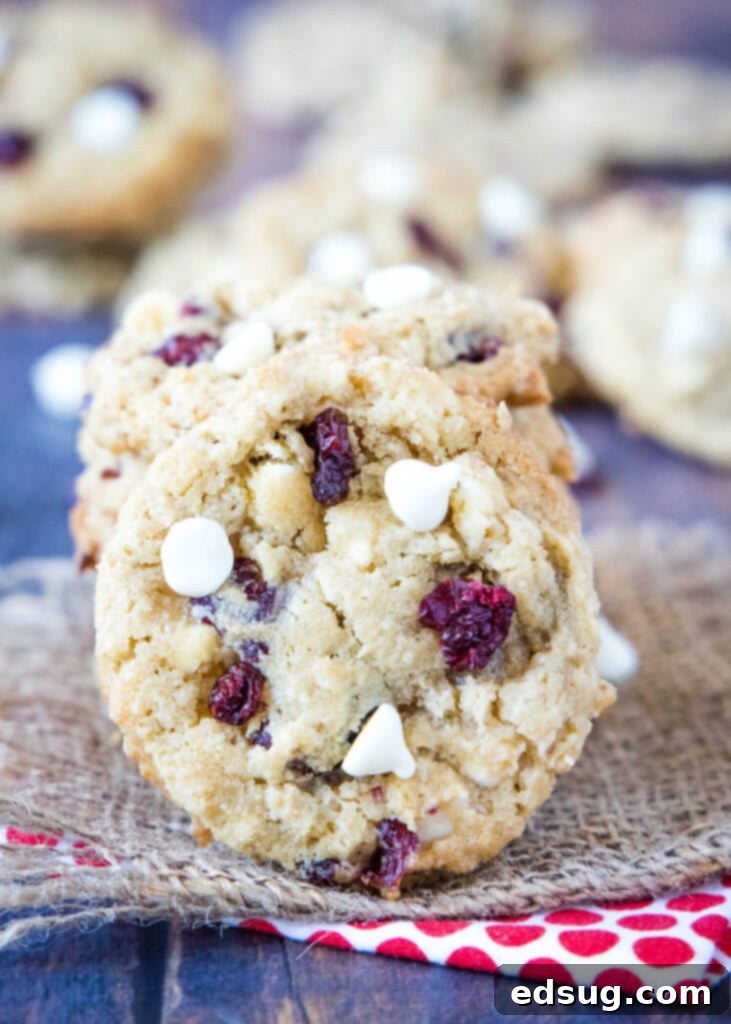 Chewy Oatmeal Cranberry Delights 2 oatmeal cranberries cookies stacked on a table