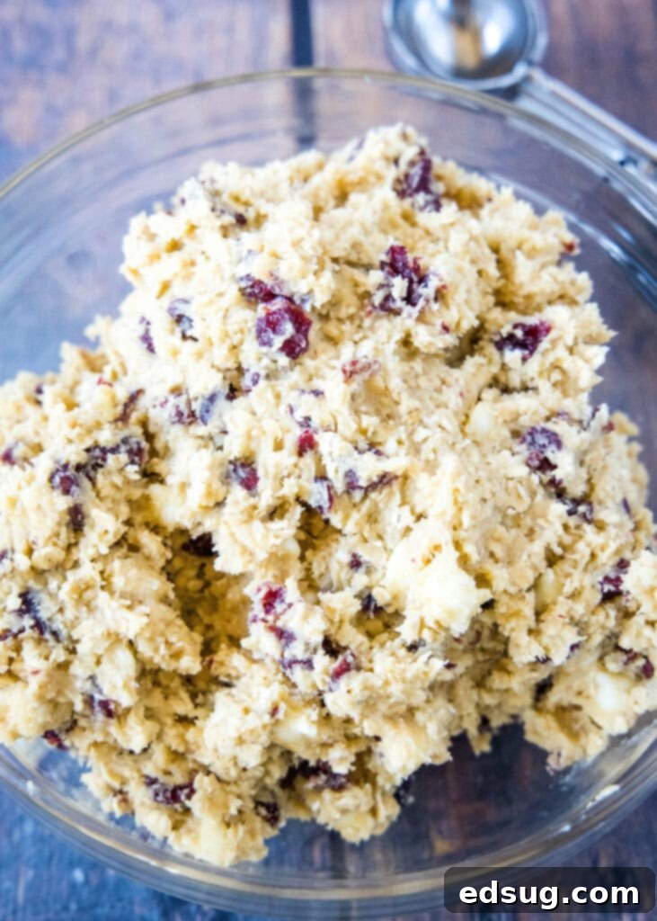 Chewy Oatmeal Cranberry Delights 3 oatmeal cranberry cookie dough in a mixing bow