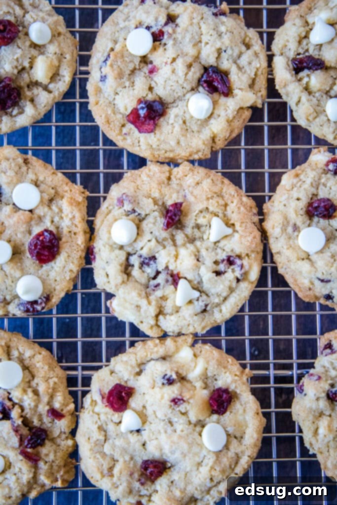 Chewy Oatmeal Cranberry Delights 4 cookies on a wire rack cooling