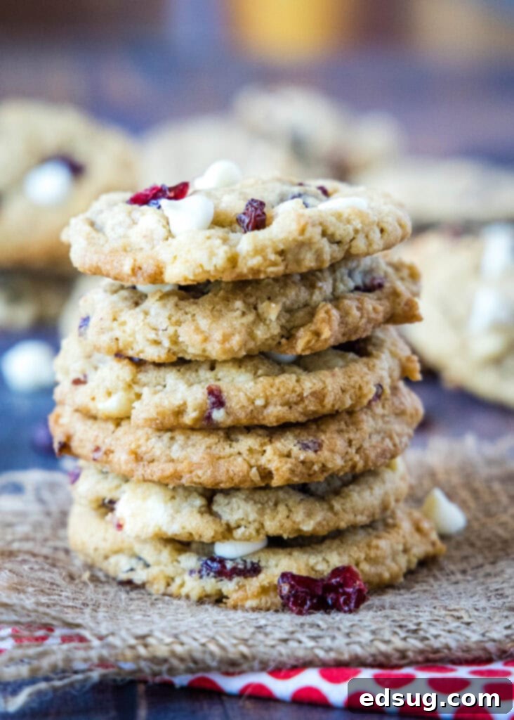 Chewy Oatmeal Cranberry Delights 5 a stack of oatmeal cranberry cookies
