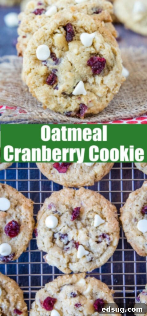 Chewy Oatmeal Cranberry Delights 6 pinterest collage of oatmeal cranberry cookies up close