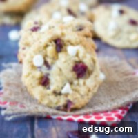 close up oatmeal cranberry cookie stacked on a table